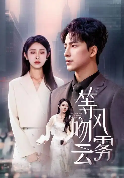 吉吉影院热播剧集长夜灯河海报